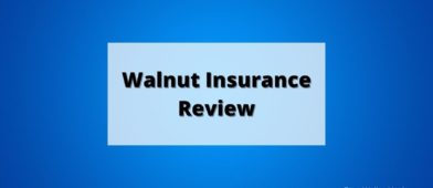 Walnut Insurance Review